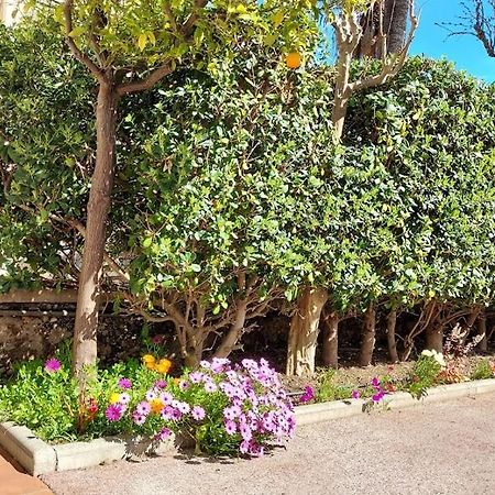 Rez-De-Chaussee Privatif Spacieux 3* D'Une Villa Centre Ville Hyères Dış mekan fotoğraf