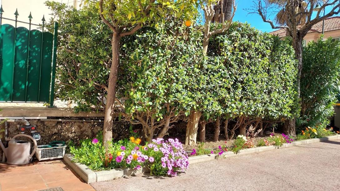 Rez-De-Chaussee Privatif Spacieux 3* D'Une Villa Centre Ville Hyères Dış mekan fotoğraf